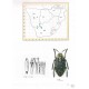 Gussmann S.  & Holm E. The African Jewel Beetles Buprestidae (Julodinae)