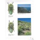 Gussmann S., Holm E., 2004: The African Jewel Beetles Buprestidae (Julodinae)