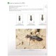 Werner K., 2002: The Tiger Beetles of Africa vol. I.