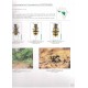 Werner K., 2000: The Tiger Beetles of Africa (Coleoptera, Cicindelidae), vol. II.