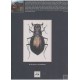 Werner K. The Tiger Beetles of Africa vol. II.