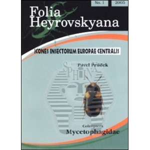 https://www.entosphinx.cz/776-575-thickbox/prudek-p-2005-mycetophagidae-4-pp-folia-heyrovskyana.jpg