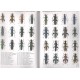 Švihla V., 1999: Revision of the subgenera Stenaxis and Oedemera s. str. of the genus Oedemera (Coleoptera: Oedemeridae)