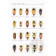 Nylander U., 2008: Review of the genera Calodema and Metaxymorpha (Coleoptera: Buprestidae: Stigmoderini)