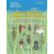 Kočárek P., Holuša J., Vidlička Ľ., 2005: Blattaria, Mantodea, Orthoptera & Dermaptera of the Czech