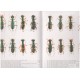 Moravec Jiří, 2002: A monograph of the genus Physodeutera. Tiger beetles of Madagascar, volume 2.