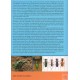 Moravec J. 2010: Tiger Beetles of the Madagascar region