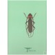 MARTINS, U.R. 2004 CERAMBYCIDAE SUL-AMERICANOS (COLEOPTERA). Suplemento 1