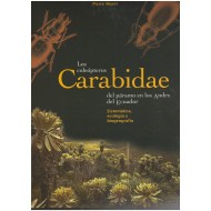 Moret P., 2005: Los Coleopteros Carabidae del Paramo en los Andes del Ecuador: Sistemática, Ecología y Biogeografía