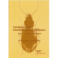 Ortuňo V. M. & Toribio M., 2005: Carabidae de la Península Ibérica y Baleares Vol. I: ( Trechinae, Bembidiini ), 455 pp.