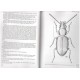  Ortuňo V. M. & Toribio M., 2005: Carabidae de la Península Ibérica y Baleares Vol. I: ( Trechinae, Bembidiini ), 455 pp.