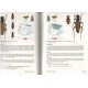Vives E., 2001: Atlas fotográfico de los cerambícidos íbero-baleares (Coleoptera: Cerambycidae)