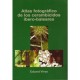 Vives E., 2001: Atlas fotográfico de los cerambícidos íbero-baleares (Coleoptera: Cerambycidae ),287 pp.