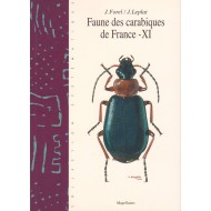 Forel J., Leplat J., 2003: Faune des carabiques de France 11