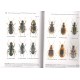 Klimaszewski J., 2012: Synopsis of adventive species of Coleoptera (Insecta) recorded from Canada. Part 1: Carabidae
