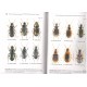 Klimaszewski J. 2012: Synopsis 	Synopsis of adventive species of Coleoptera (Insecta) recorded from Canada. Part 1: Carabidae