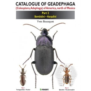 https://www.entosphinx.cz/873-1053-thickbox/bousquet-y-2012-catalogue-of-geadephaga-coleoptera-adephaga-of-america-north-of-mexico-part-2-bembidini-harpalini.jpg