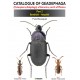 Bousquet Y. 2012: Catalogue of Geadephaga (Coleoptera, Adephaga) of America, north of Mexico,  part 2 Bembidini-Harpalini