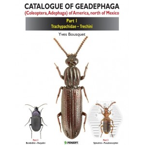 https://www.entosphinx.cz/874-1054-thickbox/bousquet-y-2012-catalogue-of-geadephaga-coleoptera-adephaga-of-america-north-of-mexico-part-1-trachypachidae-trechini.jpg