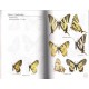 Tolman T.,Lewington R.,2007:Motyle Polski i Europy