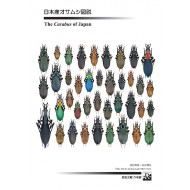  Imura Y.,Mizusawa K.,2013: THE CARABUS OF JAPAN