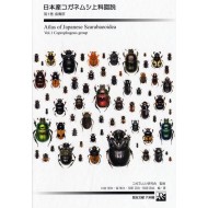 Kawai S.,Hori S.,Kawahara M.,Inagaki M.,2005: ATLAS  OF JAPANESE SCARABAEOIDEA Vol.1., (Coprophagous group)