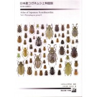 Kobayashi H.,Matsumoto T.,2011: ATLAS OF JAPANESE SCARABAEOIDEA Vol.3 (Phytophagous group II.)
