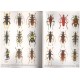 Villiers A., Quentin R. M., Vives E., 2011: Ex NATURA, vol. 3., Cerambycidae, Dorcasominae de Madagascar