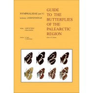 Brunna D.C., Gallo E. - NYPHALIDAE part VI