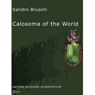 BRUSCHI S.,2013: CALOSOMA OF THE WORLD