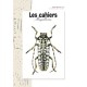 Les Cahiers Magellanes NS n°7 2012