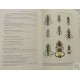 Les Cahiers Magellanes NS n°10 2012