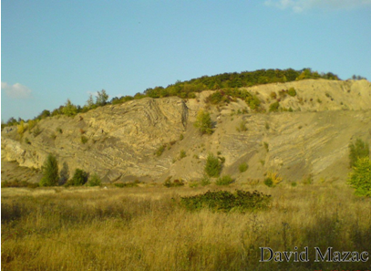 Locality for the collection of insects