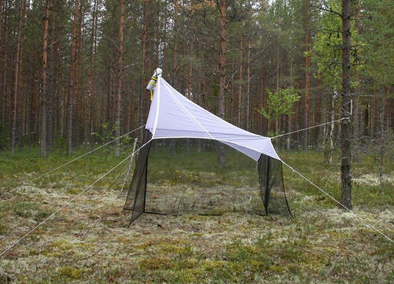 A malaise trap placed in the forest